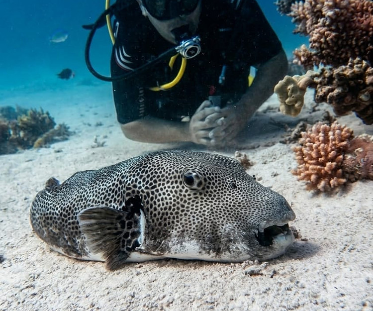 stop to run it's time to live!