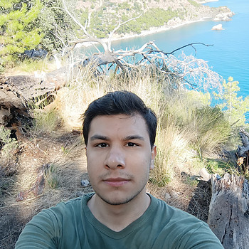 tarık