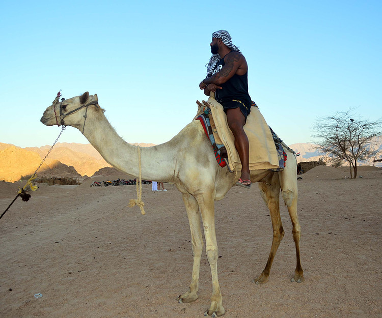 A multi-day trip to know the unknown