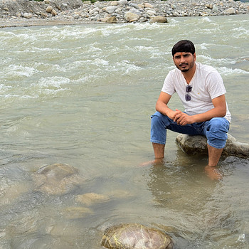 pushpendra baisla