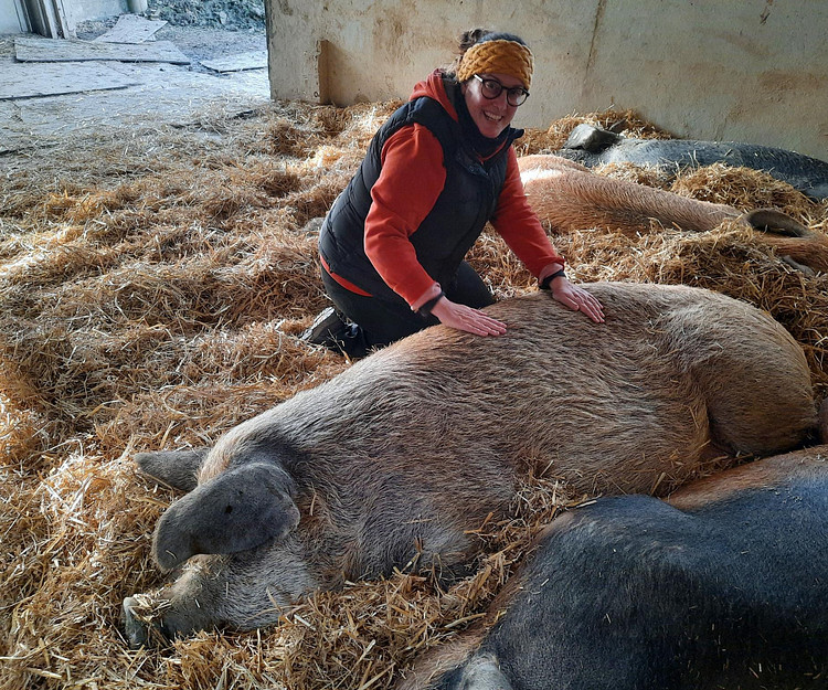 Exploring New Zealand 