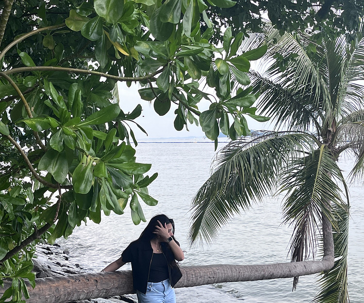 Just traveling for summer vacations. 