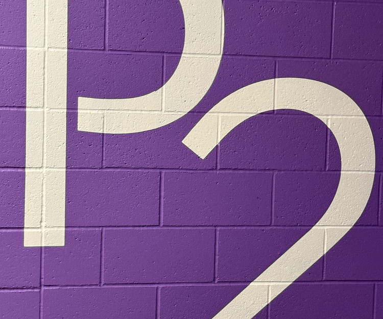 Long Beach/OC to Las Vegas Birthday Celebration