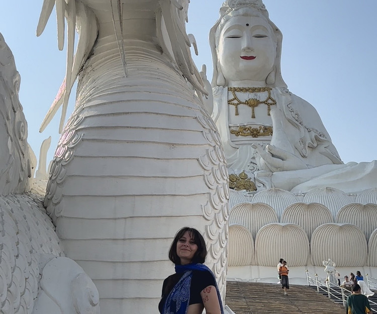 🇺🇸 California Road Trip – Looking for a Female Travel Buddy 🌴🚗