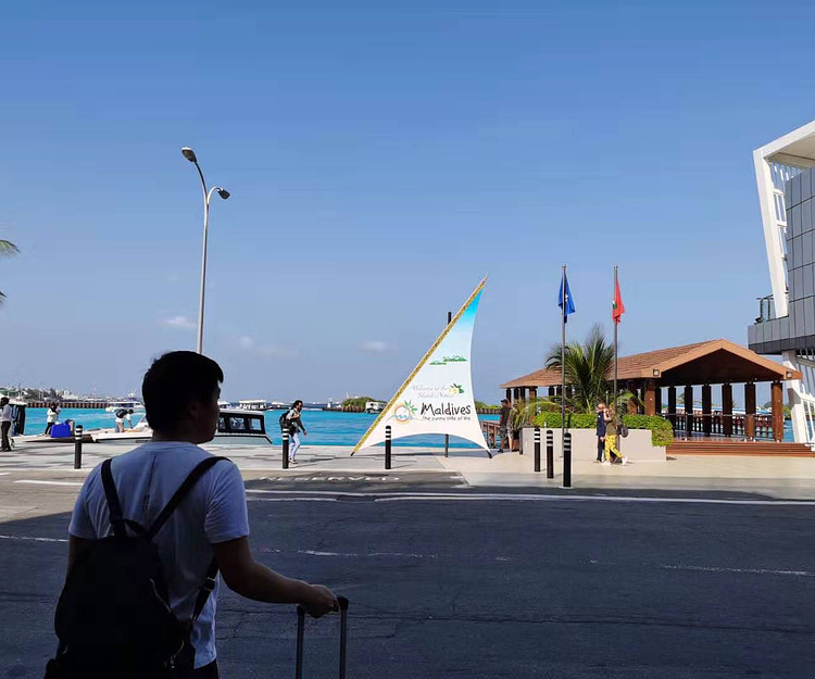 havana frenzy