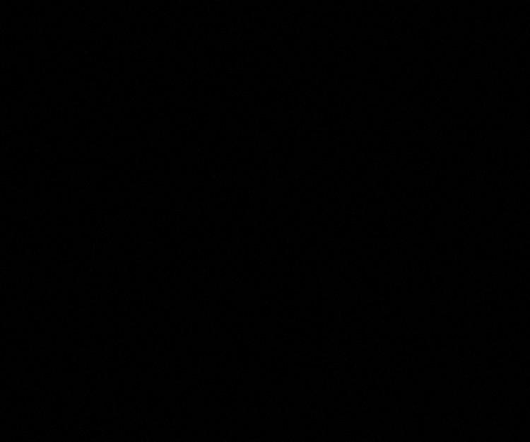 Solo Traveller - looking for travel buddy 