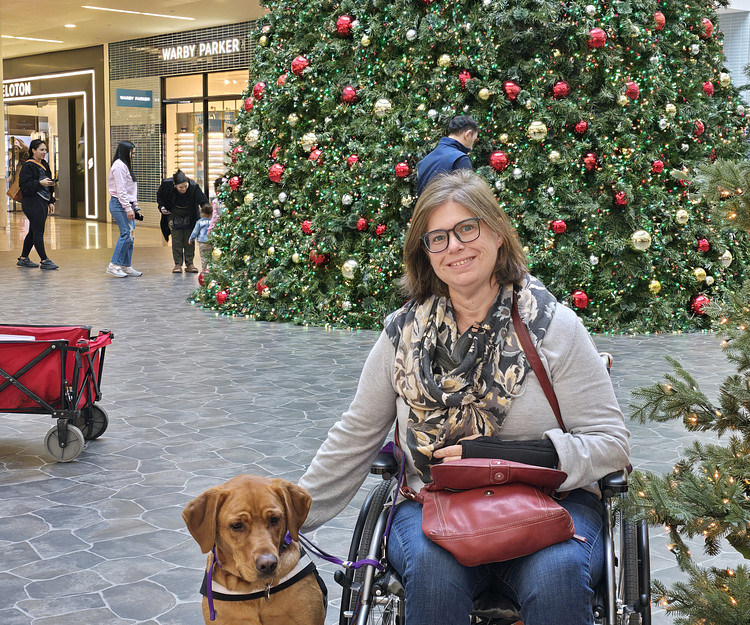 South Africa: Accessible Safari & Adventure 🌍