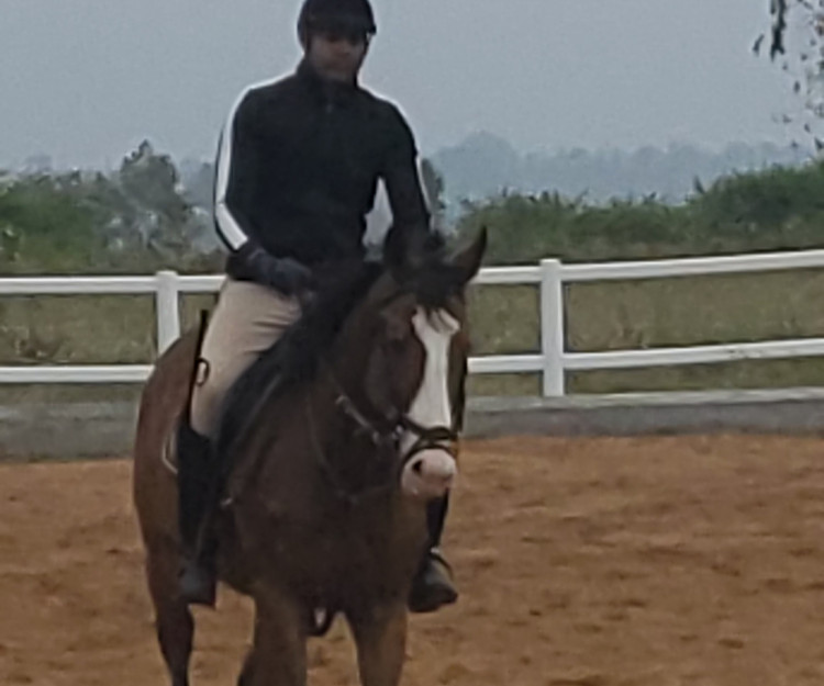 adi