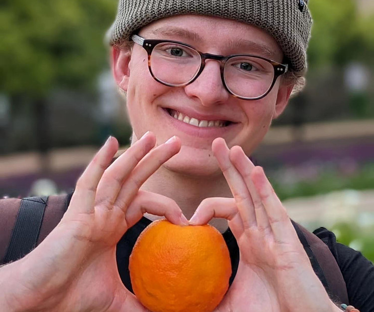 Little trip of Yucatán