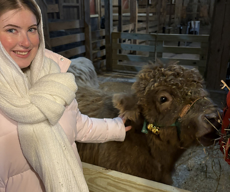 Exploring cities - traveling by train 