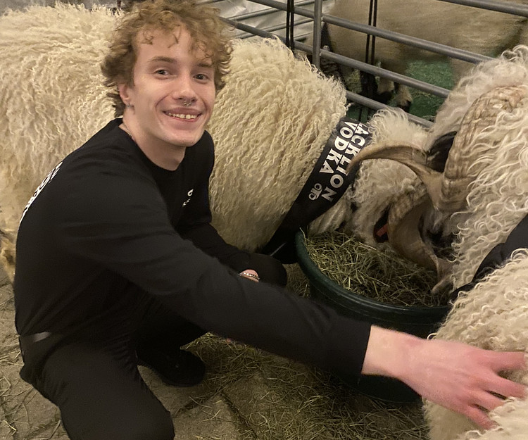 saint pattys day in ireland