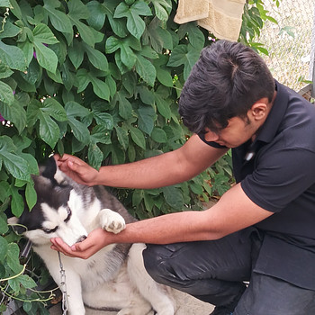 Adarsh Yadav