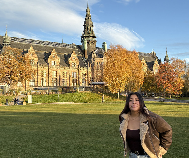 viaje ala ciudad de dinamarca 