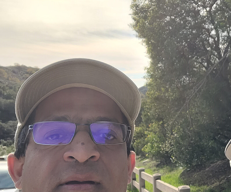 looking for travel companion 