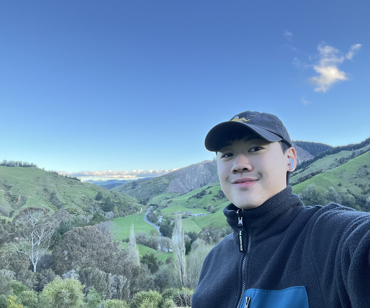 Top-Down South Island 