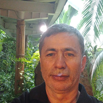 Gezgin Ol