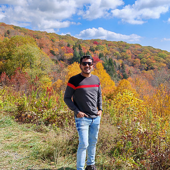Vishal Gaded