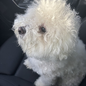Doug