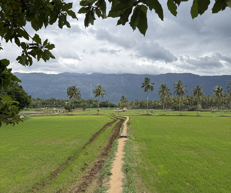 Munnar