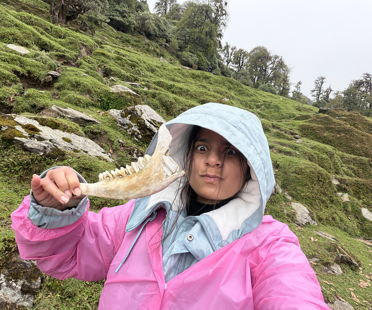 budget trip to Kasol 🚙