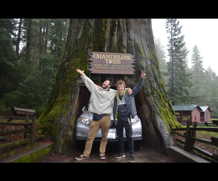 50 State Road Trip