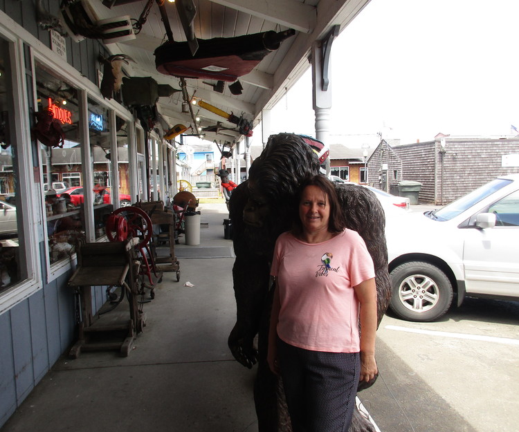 Yellowstone National Park, Montana, camping, and road trips in area. 