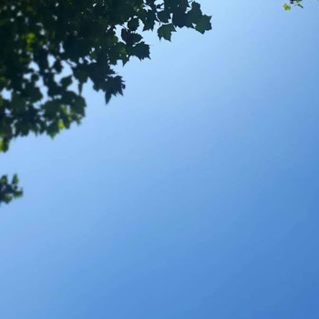 June June