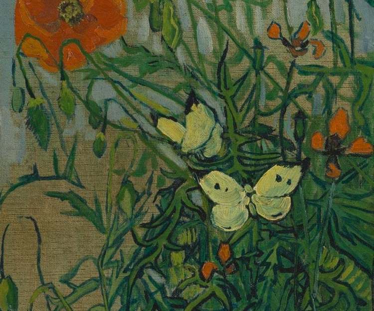 Holiday Las Vegas to relax - not much gambling - might go hiking nearby