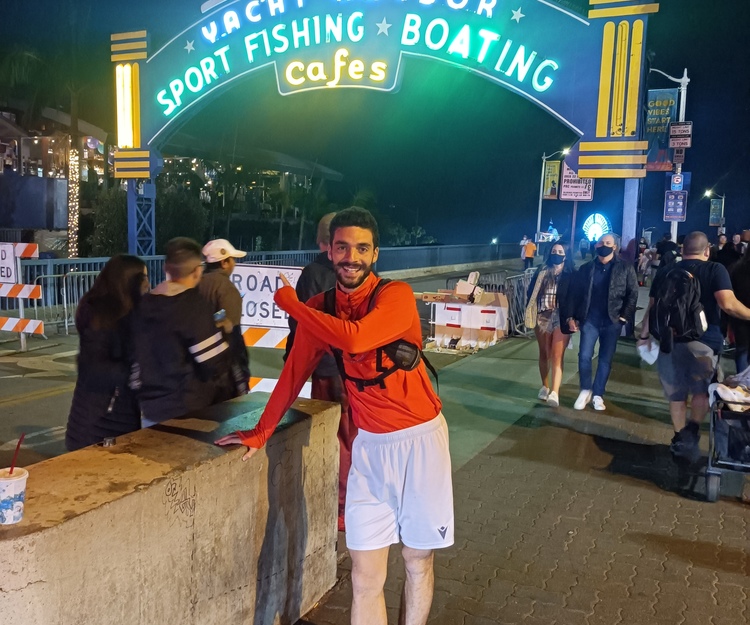 Aurora + animals + snow!!!