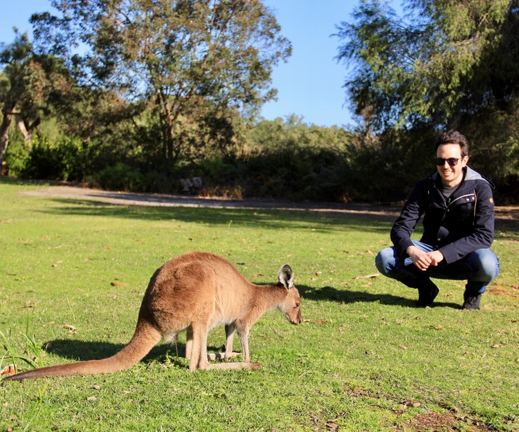 1 week accommodation, surfing and exploring Maui