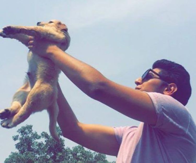 Music festival- desert daze