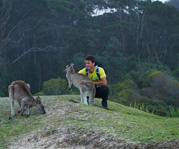 Great Ocean Road + NP