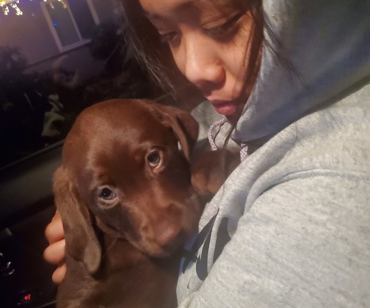 Beach and Border time