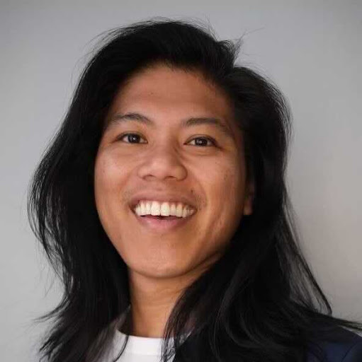 ONE WAY - Detroit, MI to Austin, TX - must be ok with dogs