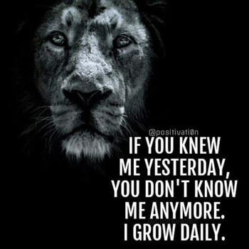 Mahmoud Mahmoud