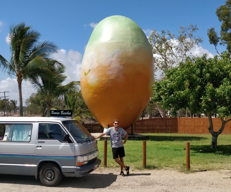 Airlie Beach to Brisbane, travelmate wanted