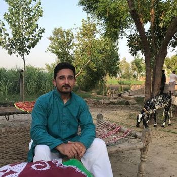 Haseeb