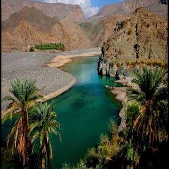 Tayseer