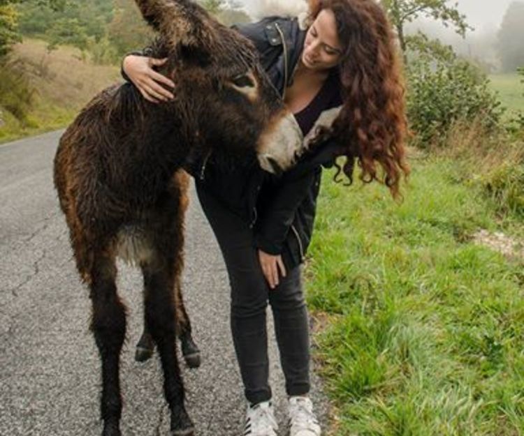 A 10 days roadtrip to explore Iceland! 