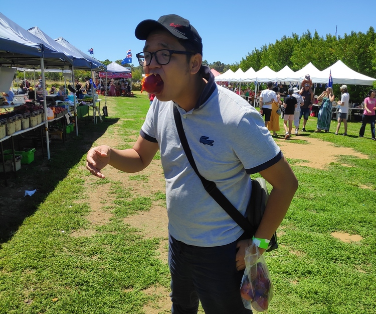 Great ocean road drive