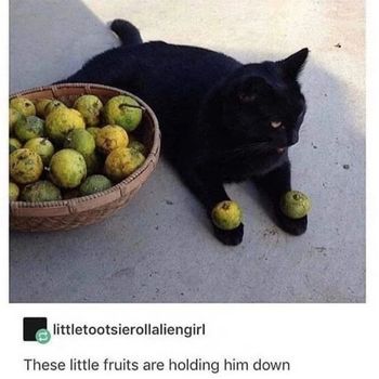 Oswald