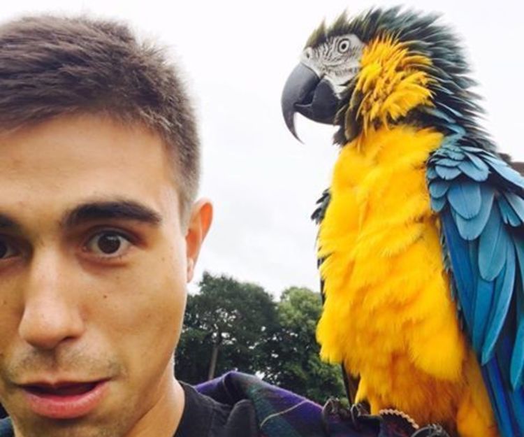 Road trip cairns to brisbane