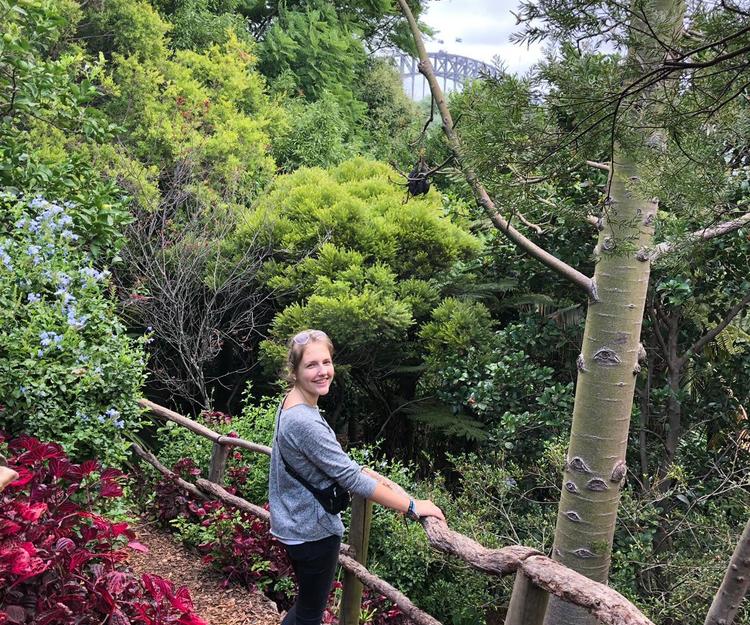 Urgent! Melbourne -> Adelaide