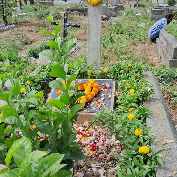 Aditya Aditya