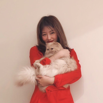 faye zang