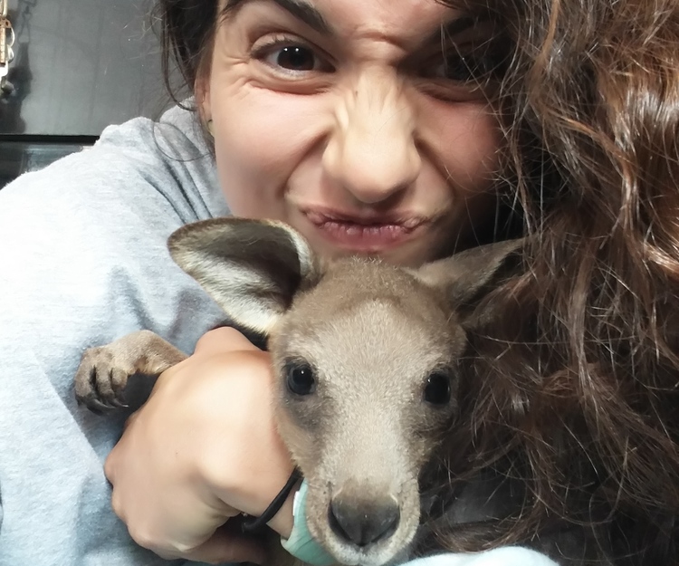 [SHORT TRIP : CAIRNS --> CAPE TRIBULATION]