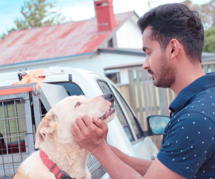 Brisbane-Sydney-Melbourne-Adelaide