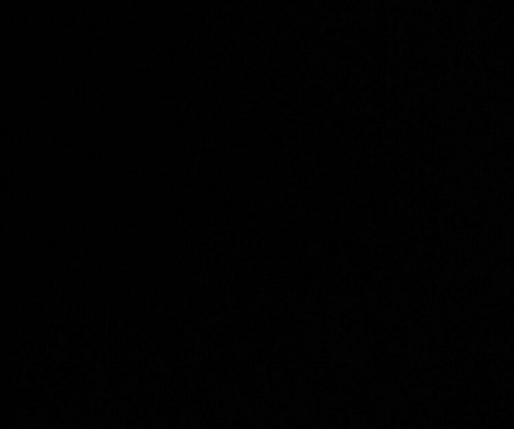 Looking for Travel Buddies for Denver and Region