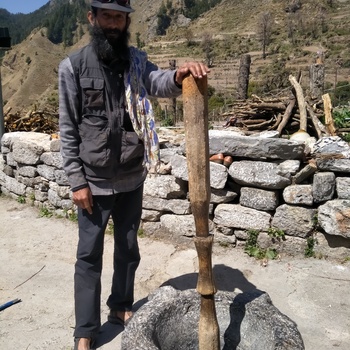 Dabral