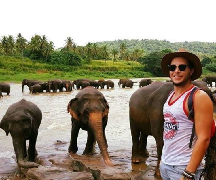 Mini roadtrip Gold Coast to PortDouglas